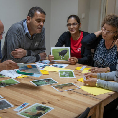 Project | Taal in een superdiverse stad