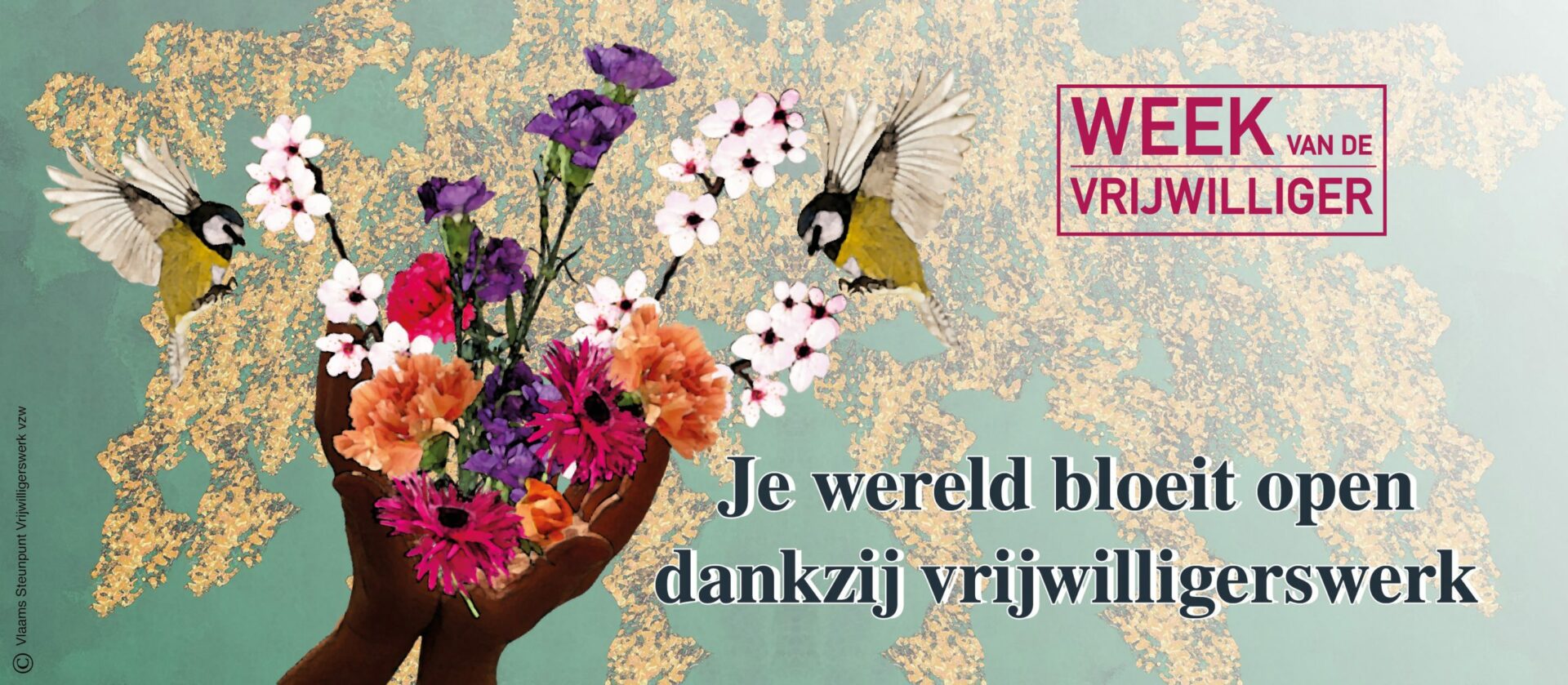 Week van de Vrijwilliger: De lucht klaart stilaan op