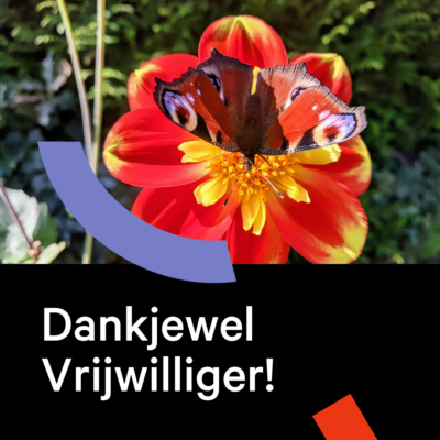 Dankjewel vrijwilligers in Geraardsbergen!