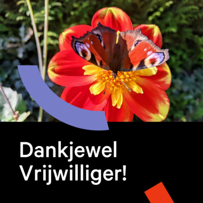 Dankjewel Vrijwilligers In Geraardsbergen!