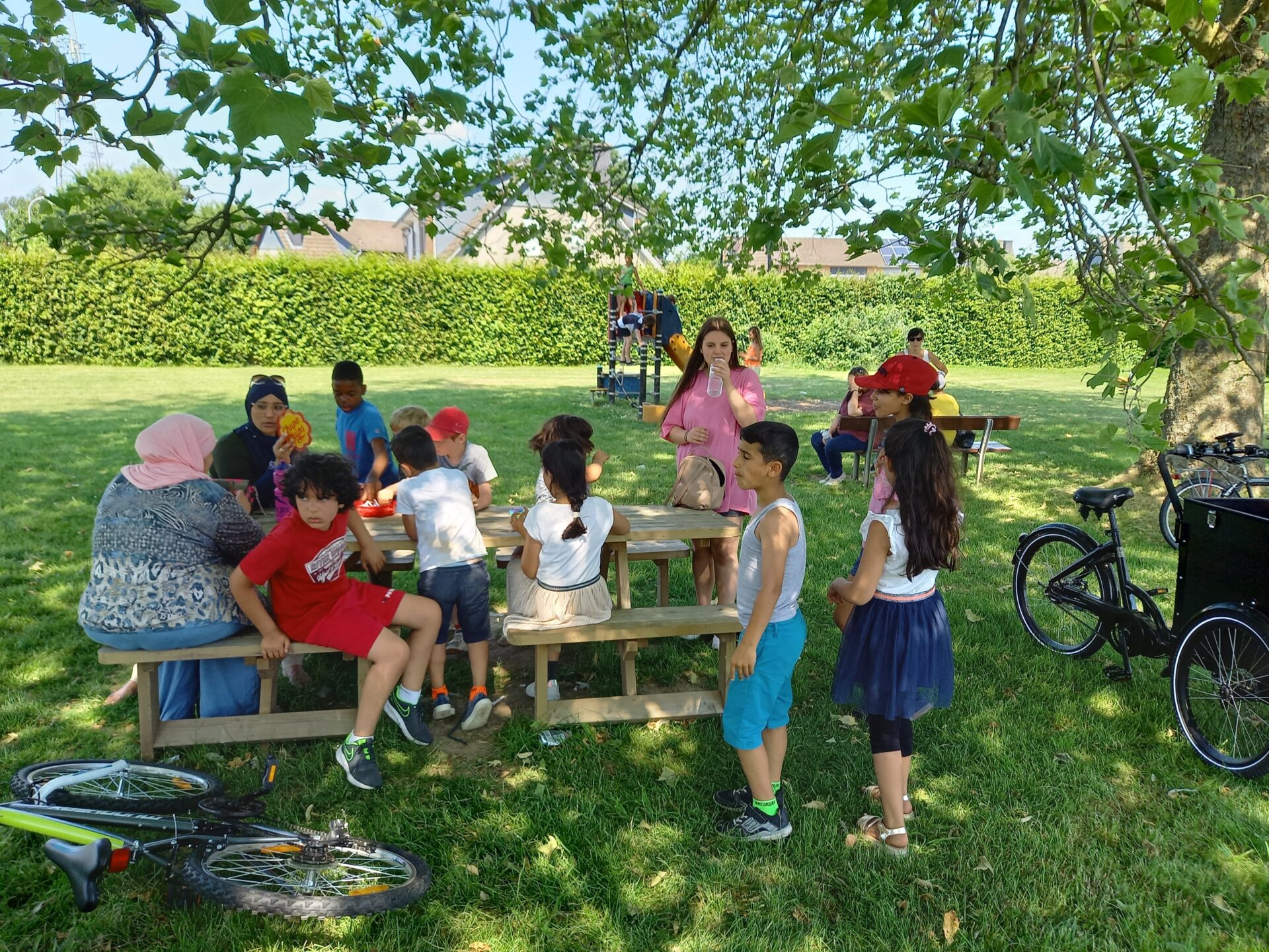Activiteit in Denderleeuw