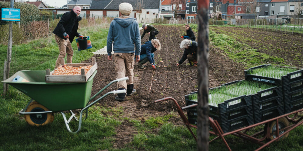 Werken op de StadsAkker in maart 2023