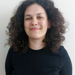 Vlada Brenici