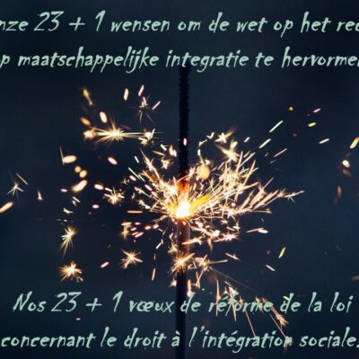 23 Wensen Voor Een Herziening Van Recht Op Maatschappelijke Integratie