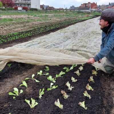 Vacature: boer(in) met ervaring in het ecologisch en kleinschalig telen (50% – bepaalde duur)